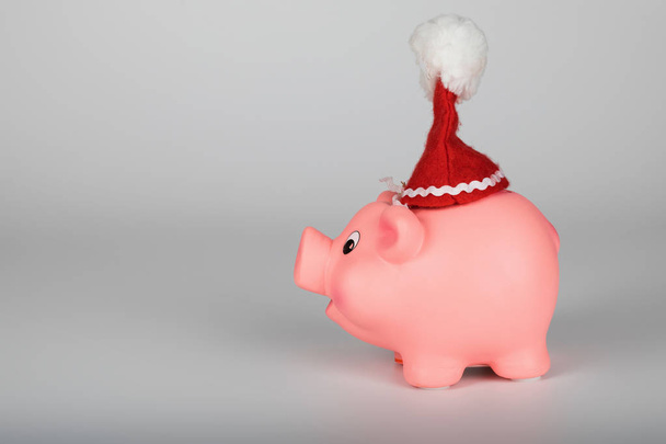 Pink piglet in a Santa Claus hat. Closeup - Fotografie, Obrázek