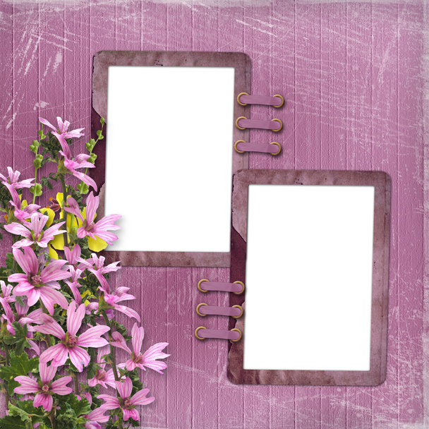 Pink background with two frames - Zdjęcie, obraz