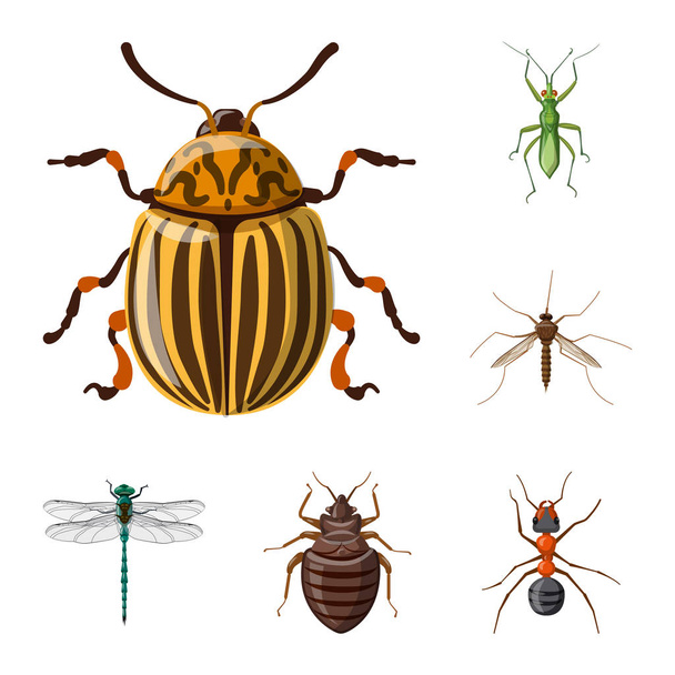 Ізольований об'єкт комах і значок мухи. Набір значків комах і елементів для запасів
. - Вектор, зображення