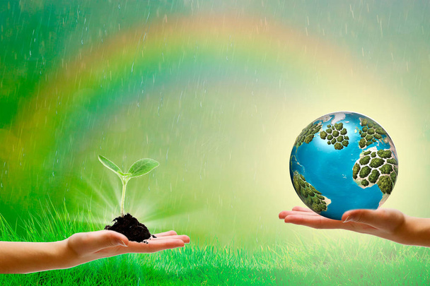 Conceito de ecologia mãos segurando planta uma árvore brotando com no dia do ambiente do mundo à terra
 - Foto, Imagem