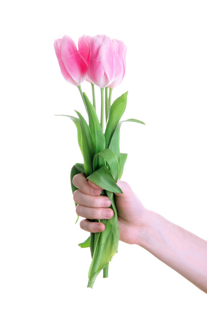 Beautiful bouquet of pink tulips in man hand, isolated on white - Fotografie, Obrázek