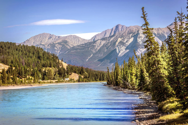 Озеро с сосновыми деревьями вокруг и скальными горами в день голубого неба летом в Банфском национальном парке в Канаде
 - Фото, изображение