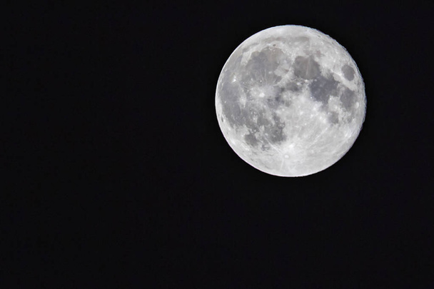 Beautiful full moon with a view of the craters to a crystal clear sky - Photo, Image