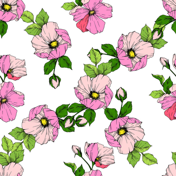 Vector Pink rosa canina flower. Engraved ink art. Seamless background pattern. Fabric wallpaper print texture. - Vector, Image