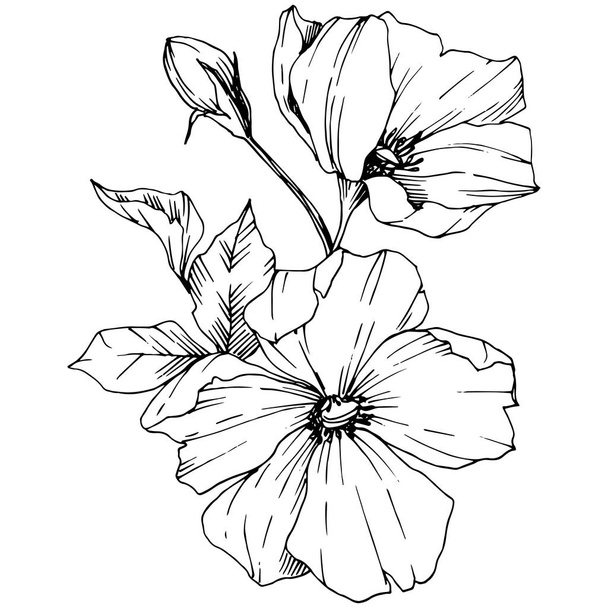 Vektor Rosa canina květina. Černá a bílá vyryto inkoust umění. Izolované rosa canina ilustrace prvek. - Vektor, obrázek