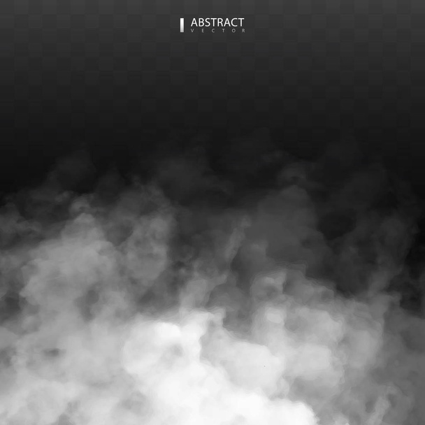 Fog or smoke isolated transparent special effect. Happy Halloween. Halloween composition. White vector cloudiness, mist or smog background. Vector illustration - Vector, Image