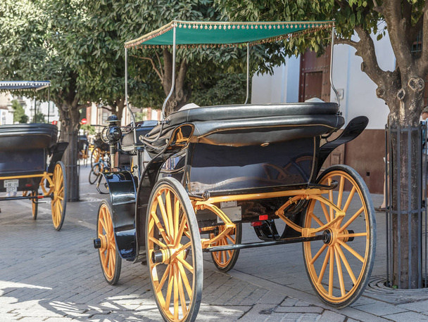 Voiture traditionnelle près de la cathédrale de Séville, Andalousie, Espagne
 - Photo, image