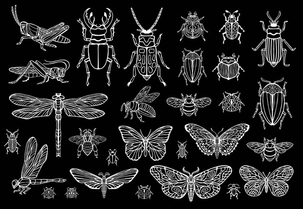 Big hand drawn line set of insects bugs, beetles, honey bees, butterfly moth, bumblebee, wasp, dragonfly, grasshopper. Silhouette vintage sketch style engraved illustration. - Vektor, kép