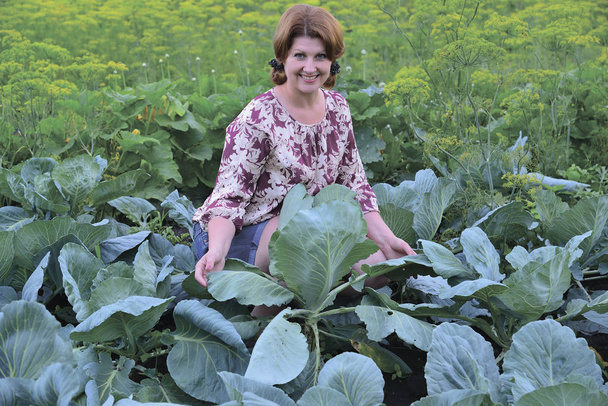 A woman grows cabbage in the garden - Foto, afbeelding