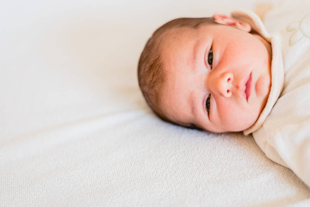 Portrait of newborn baby girl feels safe and awake to a new life. - Φωτογραφία, εικόνα
