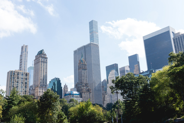 urbaani kohtaus puita kaupungin puistossa ja pilvenpiirtäjiä New Yorkissa, USA
 - Valokuva, kuva