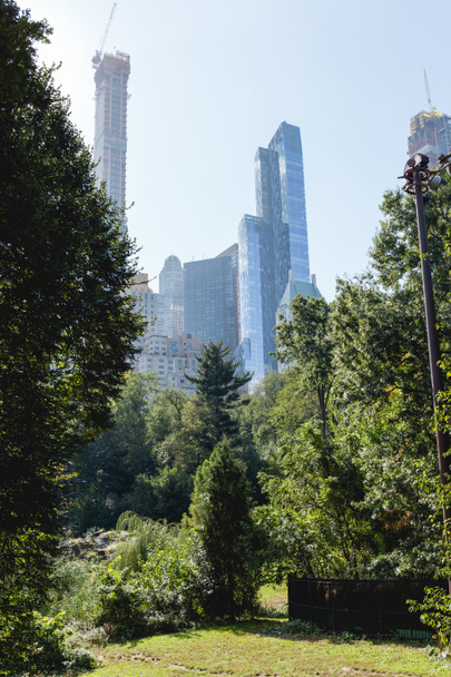 scène urbaine avec des arbres dans le parc de la ville et des gratte-ciel à New York, Etats-Unis
 - Photo, image