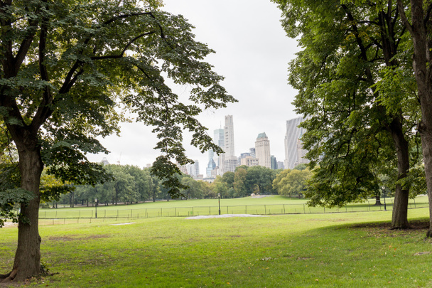 urban scene with trees in city park and skyscrapers in new york, usa - Photo, Image