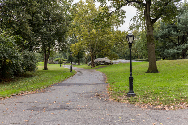 vista panorámica del parque de la ciudad con árboles verdes en Nueva York, EE.UU.
 - Foto, Imagen