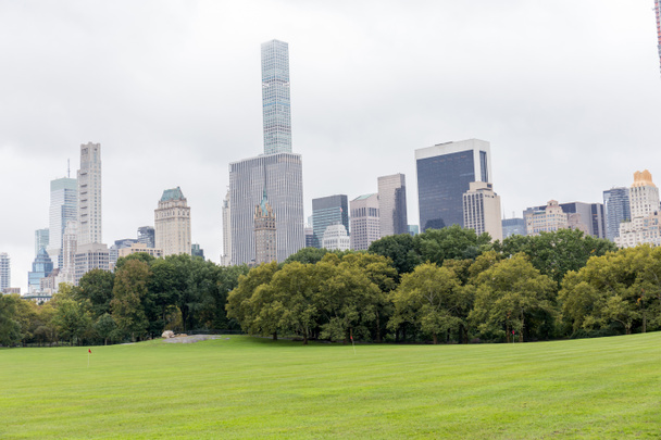 urban scene with trees in city park and skyscrapers in new york, usa - Photo, Image