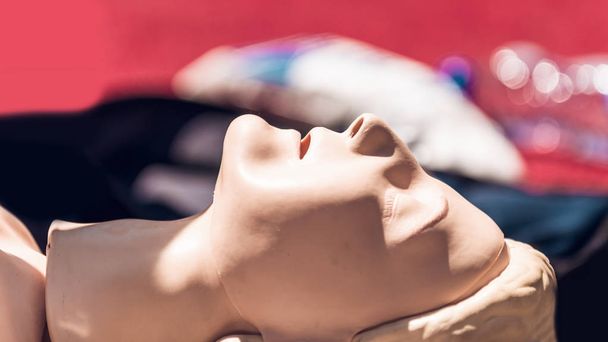 CPR doll. First Aid Training Outdoors - Valokuva, kuva