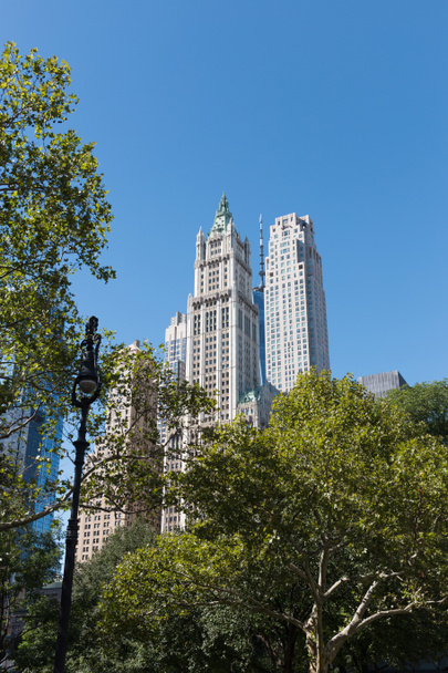 urban scene with trees in city park and skyscrapers in new york, usa - Foto, Imagen