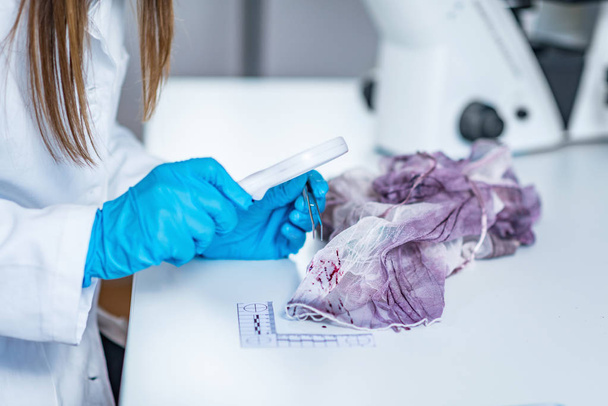 Эксперт-криминалист изучает следы крови на куске ткани, собранном на месте преступления
 - Фото, изображение