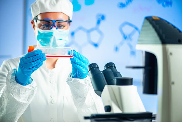  Scientist working in a laboratory, placing microscope slide on the stage - Zdjęcie, obraz