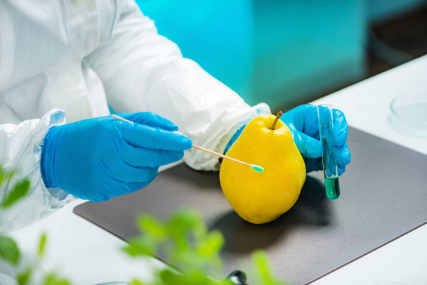 Биолог изучает грушу на предмет пестицидов
 - Фото, изображение