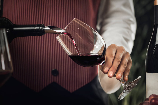 Sommelier femelle versant du vin rouge dans un verre à vin
. - Photo, image