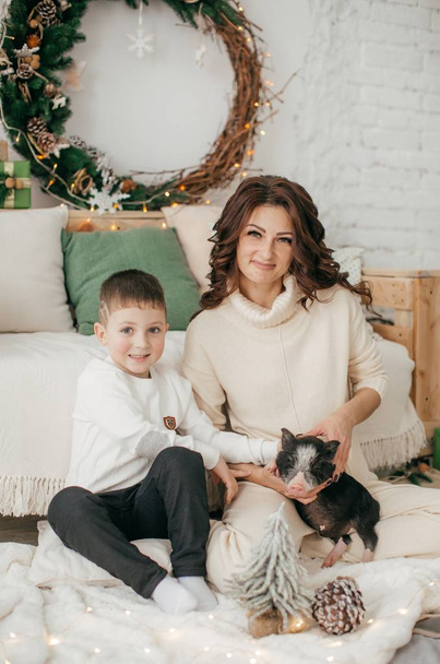 Beautiful little boy and mother in  Christmas interior with mini pig - Photo, Image