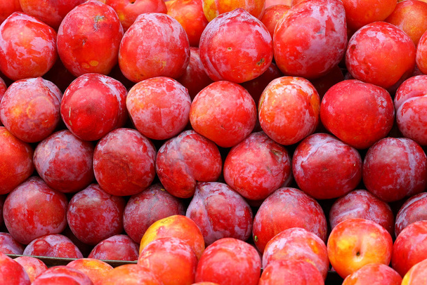 ameixas vermelhas no mercado, close-up
 - Foto, Imagem