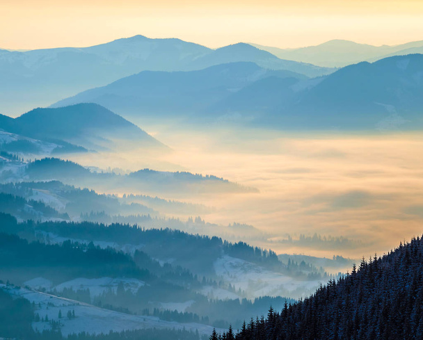 青い山脈だ。雲の中の谷。朝の日差し｜ウクライナのカルパチア山脈 - 写真・画像