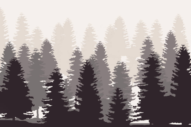 Foresta di pino silhouette isolato Oon bianco Backgroun
 - Foto, immagini