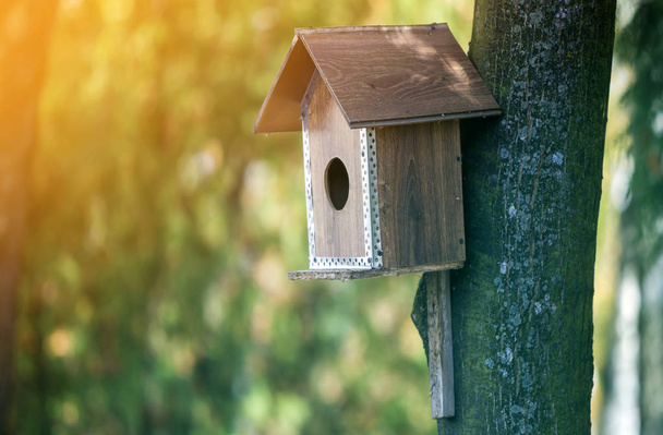 Wooden brown new bird house or nesting box attached to tree trunk in summer park or forest on blurred sunny green foliage bokeh background. Wildlife protection, do it yourself concept. - Photo, Image