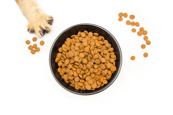 Black bowl with dry cat food stands on a white background top view, next scattered pieces of food and a cat's paw with claws stretching for a bowl of food. - Photo, Image