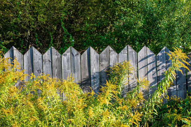rezavý ostnatý drát na starý dřevěný plot, v létě s zeleným olistěním - Fotografie, Obrázek