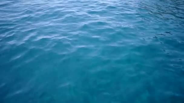 průhledná mořská voda - Záběry, video
