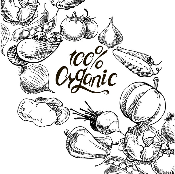 Zestaw organicznych naturalnych świeżych warzyw. ogórek, dynia, cebula, czosnek, marchew, ziemniaki, bakłażan, kapusta pomidor kolekcja ręcznie rysowane elementy projektu - Wektor, obraz