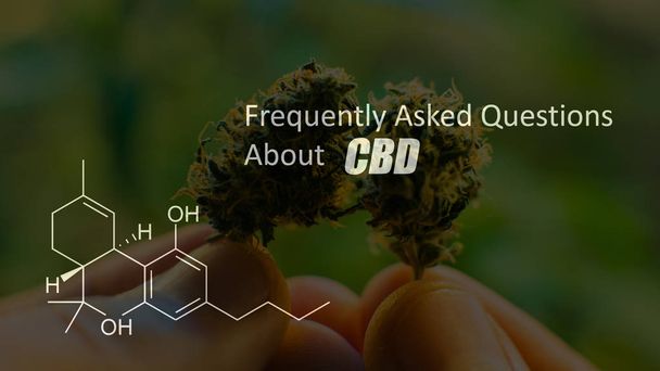 cannabinoïdes dans les éléments de CDB Thc de la marijuana - Photo, image
