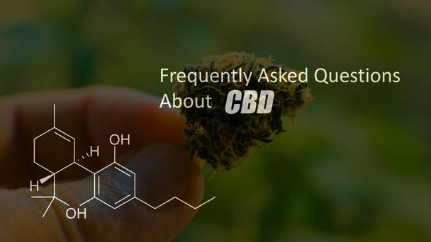 CBD Thc χημικά στοιχεία που περιέχονται στο κάνναβης. Ιατρική μαριχουάνα 2019  - Φωτογραφία, εικόνα