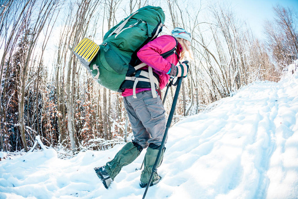 Woman in a winter hike. A girl with trekking poles, a backpack and snowshoes is walking along a snow covered mountain path. Tourist goes along the forest road. - Photo, Image