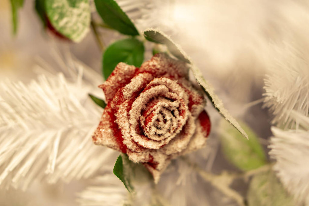 Un arreglo floral. Ramas de abeto, conos de abeto y rosas rojas en la nieve en el frío. Navidad naturaleza muerta
. - Foto, Imagen