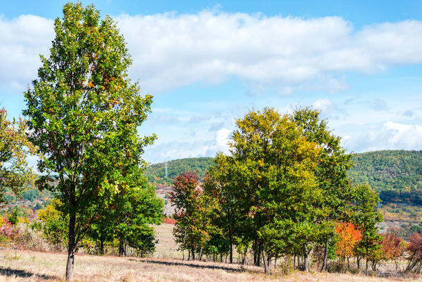 Landschaft des herbstlichen Feldes mit Bäumen - Foto, Bild