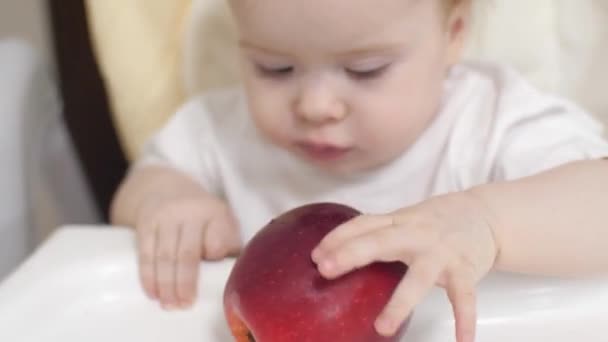 Il bambino morde la mela con i primi denti da latte
. - Filmati, video