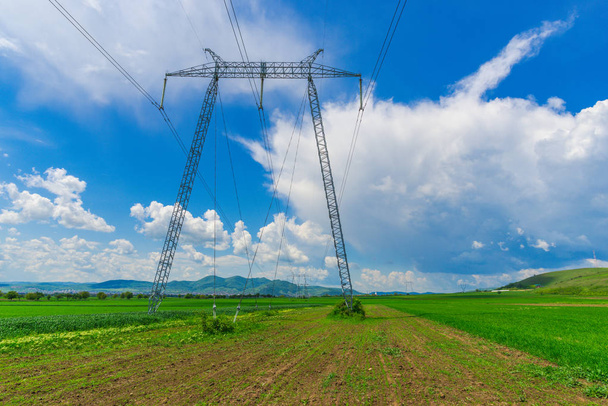 Field with electricity poles - 写真・画像