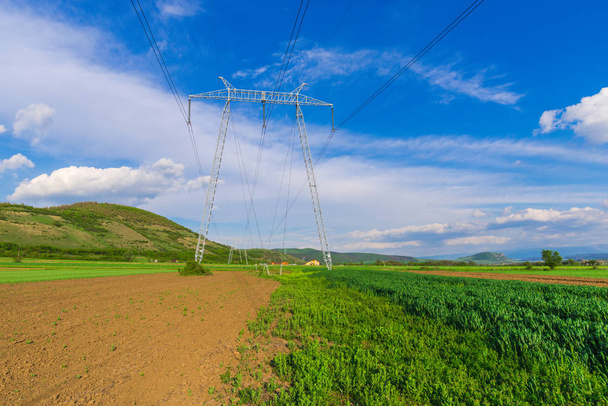 Field with electricity poles - Фото, зображення