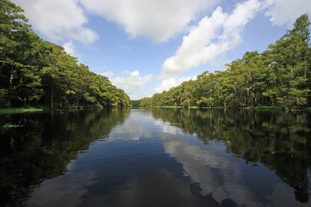 Fisheating Creek, Florida. - Photo, Image