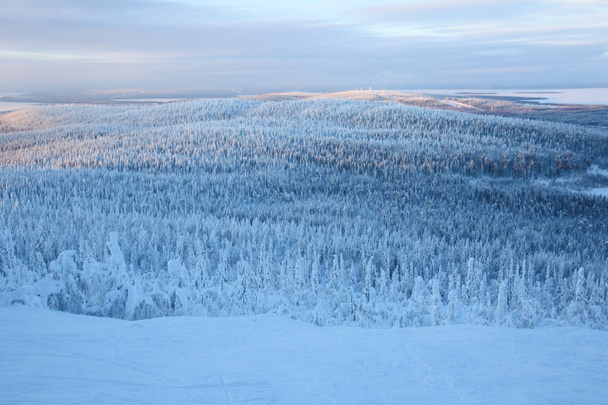 Pohádka krásná zimní krajina s horami arktické zimní les jedle cobered s chraptivý a sníh Laponsko polární klima - Fotografie, Obrázek