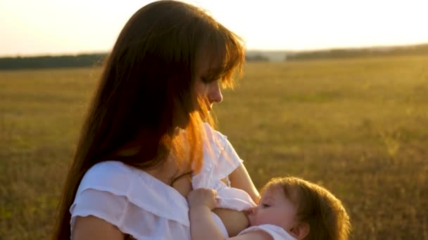 Mamma tiene il bambino nelle sue mani e lo nutre con latte materno nel parco in estate
. - Filmati, video