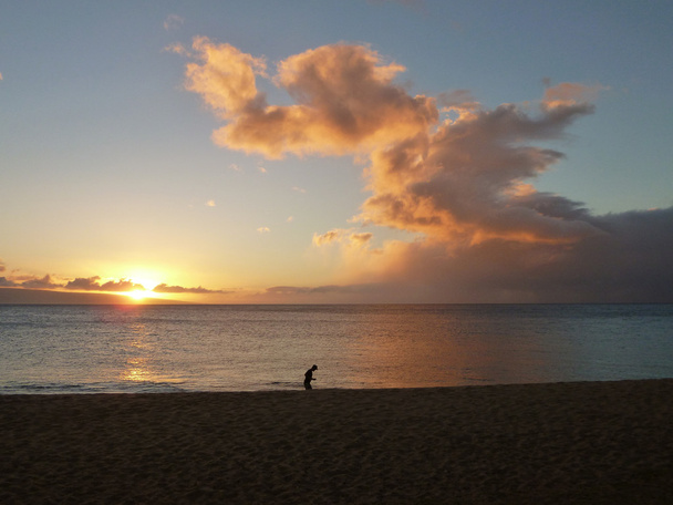 Maui Sunset na praia com Lone Runner
 - Foto, Imagem