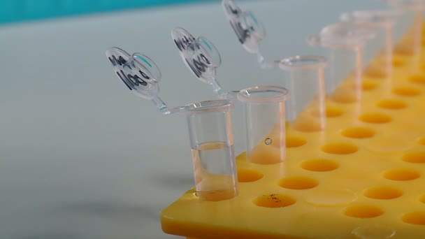 tubos com material biológico no laboratório biológico
 - Filmagem, Vídeo