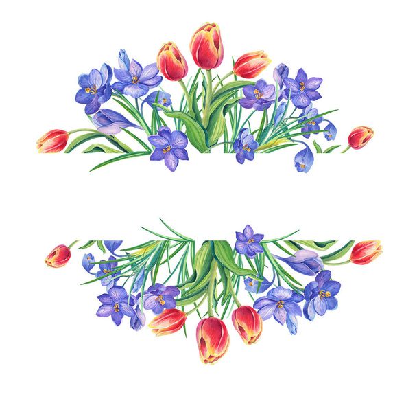 Spring Beautiful Tulips,violet crocus or saffron on white background.Watercolor illustration.Greeting card - Zdjęcie, obraz