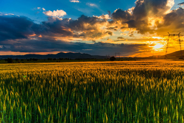 ciel orangé coucher de soleil au-dessus de prairie avec herbe et collines, poteaux électriques dans le champ
 - Photo, image