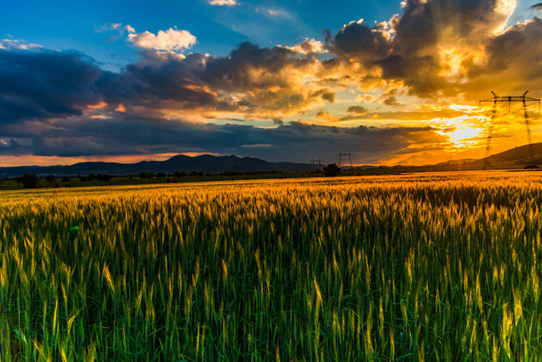 草丘、フィールドで電柱と草原上オレンジ色の夕焼け空 - 写真・画像